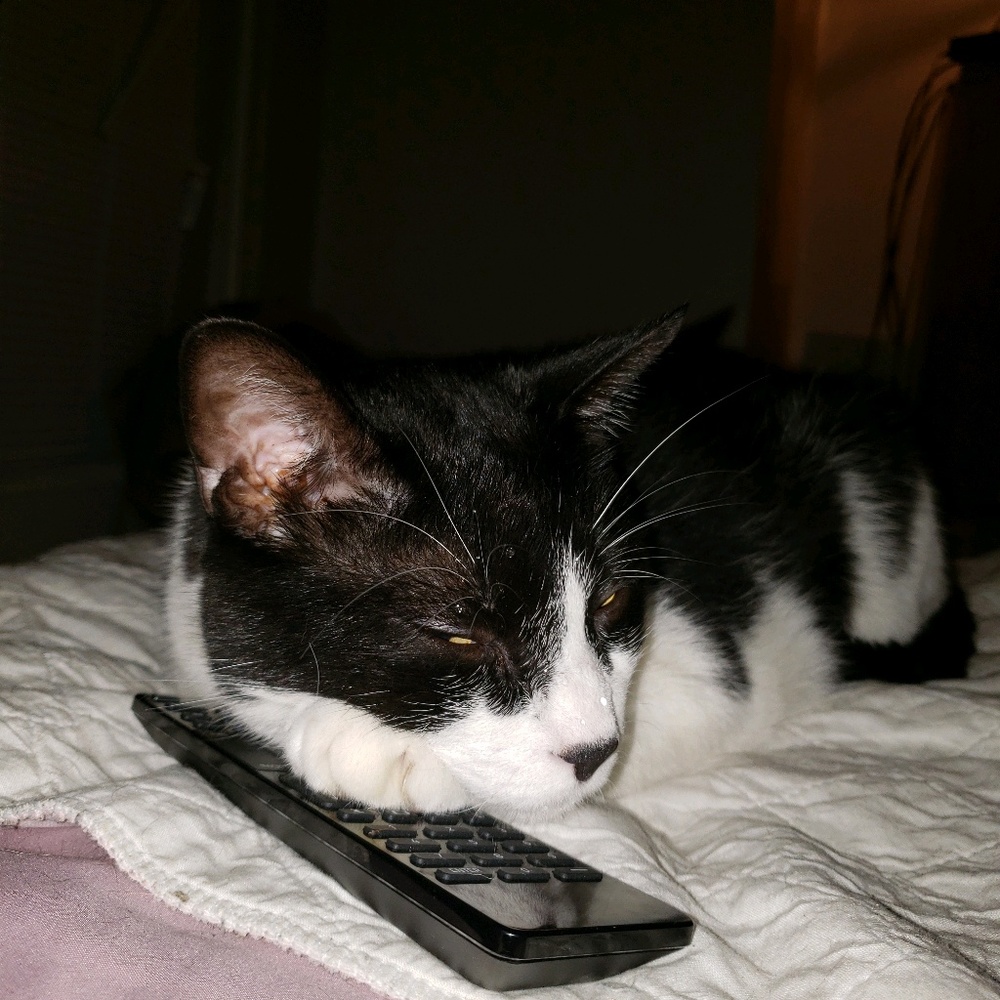 Meet your Posher, Joanne